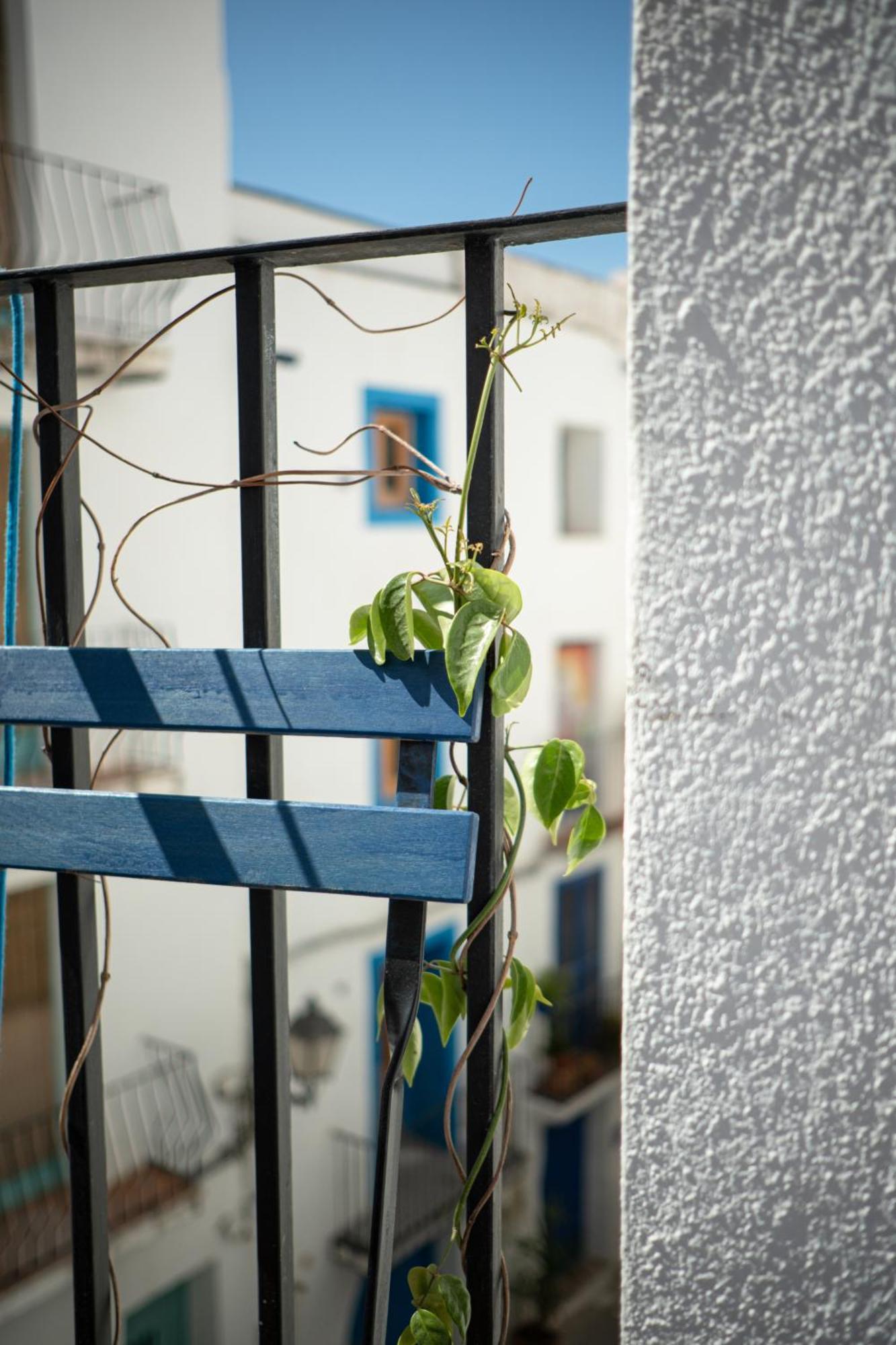 Peñíscola Knysna Boutique Rooms מראה חיצוני תמונה